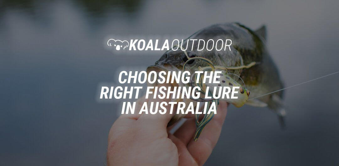 Best Fishing Lures in Australia [2023 Guide]