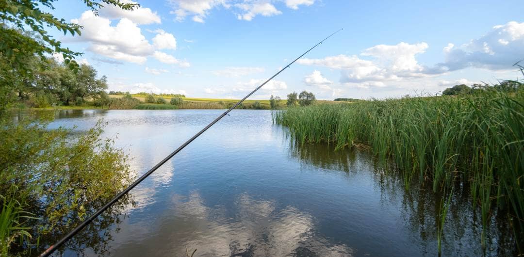 How To Start Fishing in a Lake: Beginners Guide