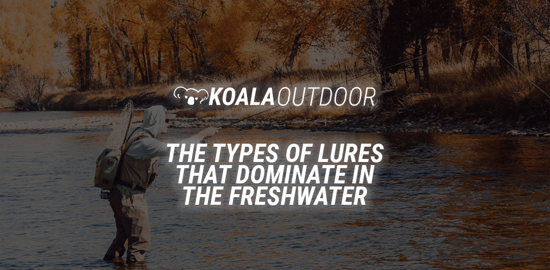 The Types of Lures that Dominate in the Freshwater