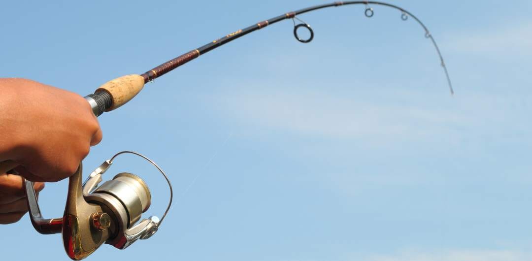 Favorite Fishing Rods - Looking for the perfect travel rod? The