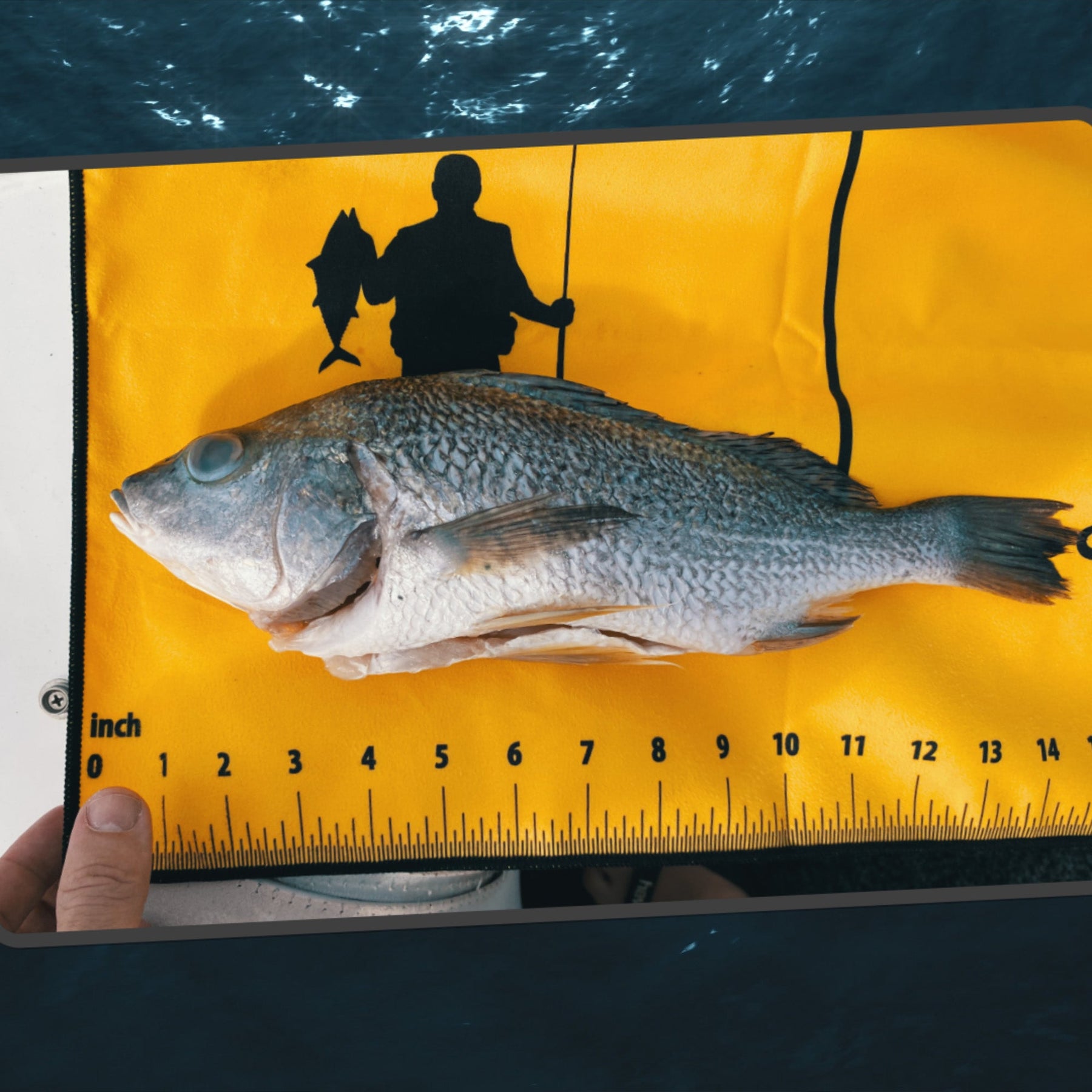 Royl Fish Bait Towel & Fish Ruler